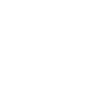 securitas light